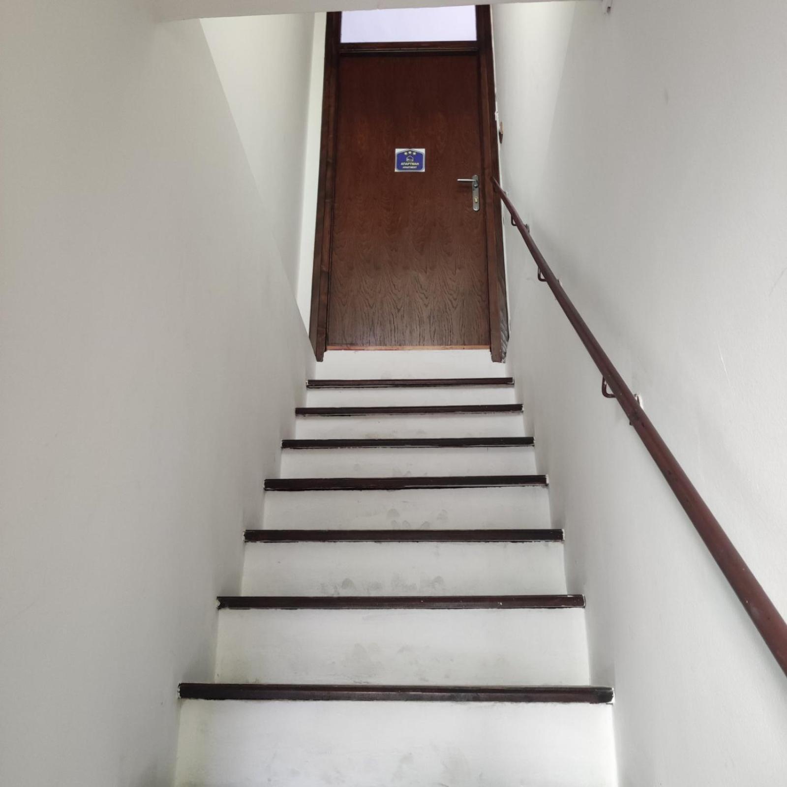 Red Tree Apartment Belgrad Zewnętrze zdjęcie