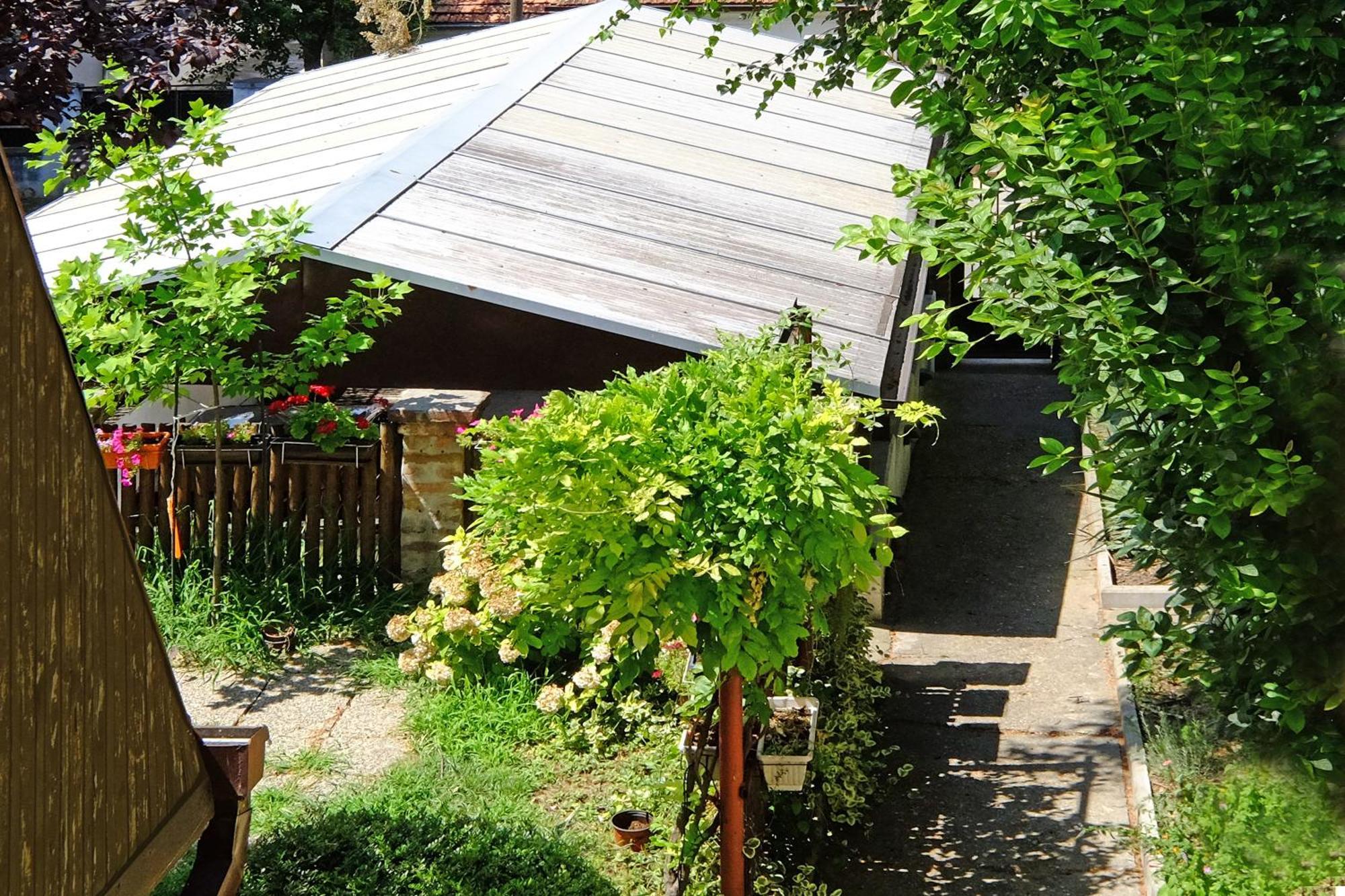 Red Tree Apartment Belgrad Zewnętrze zdjęcie